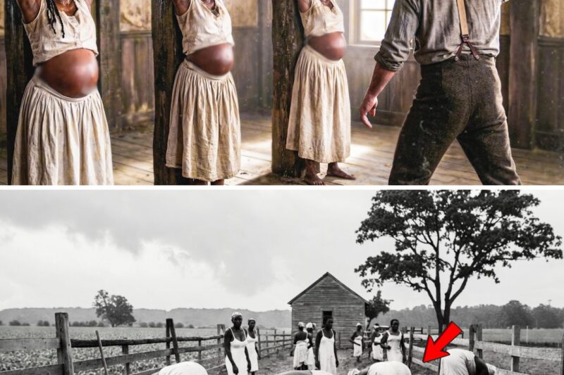 What Slave Owners Did On Breeding Farms Was Worse Than Death