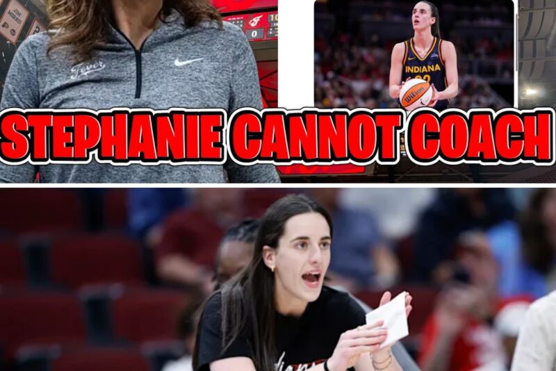 Stephanie White Would Rather Lose Than Let Caitlin Clark Run the Offense, Critics Claim After Fever’s Humiliating 113-Point Collapse