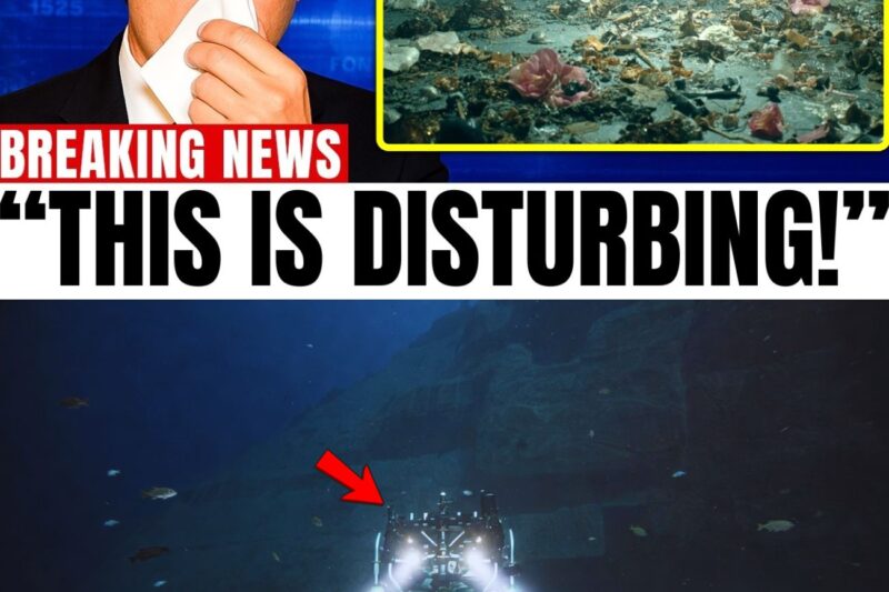 The Abyss Unveiled: How Astonishing Discoveries 8,000 Meters Deep in the Puerto Rico Trench Are Rewriting the Laws of Earth Science