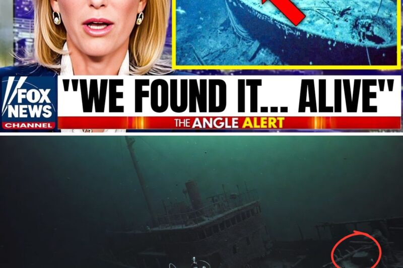 Underwater Drone Flown Towards SS Edmund Fitzgerald What They See Terrifies The World