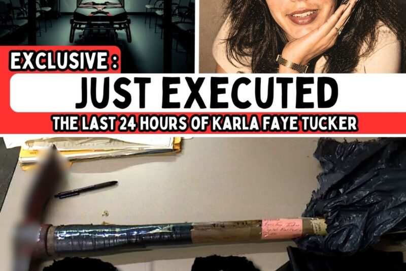 The Pickaxe Killer: How the Execution of Karla Faye Tucker Divided a Nation and Challenged the Meaning of Justice