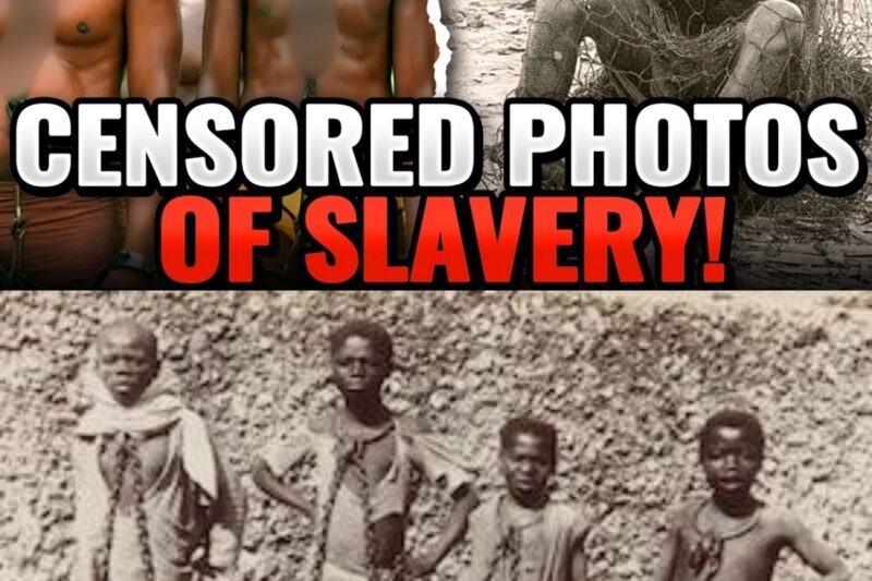 History’s Most Disturbing Slave Photos – You Can’t Look Away