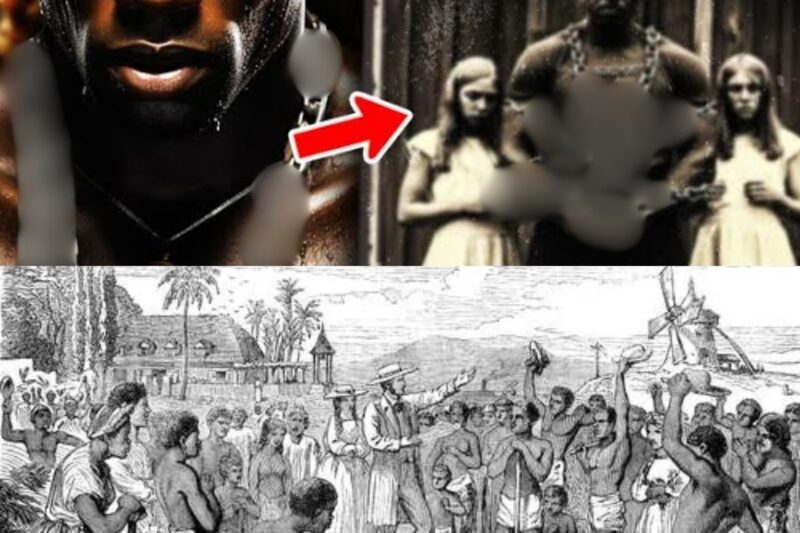 Untold Story Of Pata Seca: Forced To Breed Over 200 Black Slave Children