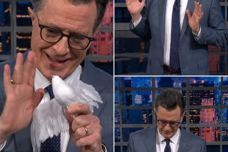 “This show being cancelled is a crime” — and now Stephen Colbert has the internet exploding with one of his wildest late-night takedowns yet! 🕊️🔥😱 In a razor-sharp monologue that fans are calling both hilarious and brutally fearless, the Late Show host tears into Donald Trump’s so-called “Concepts of a Plan,” the bizarre billion-dollar ballroom headlines, and a string of surreal political moments that left audiences stunned and crying with laughter. 😭💖 From the outrageous “Oops All Berries” punchline to the unforgettable “2,000 FLUSHES” reflecting pool joke, Colbert turns chaos into comedy with the kind of timing only he can deliver. 😂✨ Add in the explosive commentary about fruit-flavored vapes, “Honey Barbecue” medical disasters, and jaw-dropping late-night crowd reactions, and you’ve got the segment everyone is sharing nonstop.
