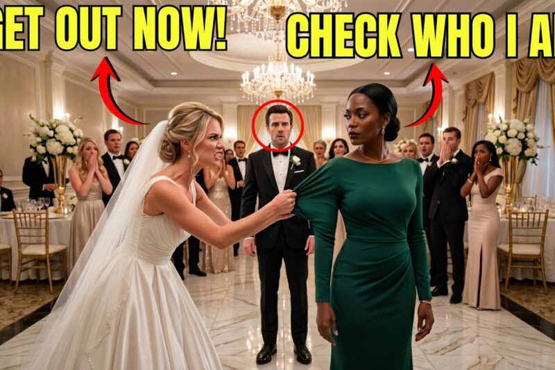 Bride Tore Black Woman’s Dress at Her Wedding — Unaware She Was Her Husband’s Billionaire Investor