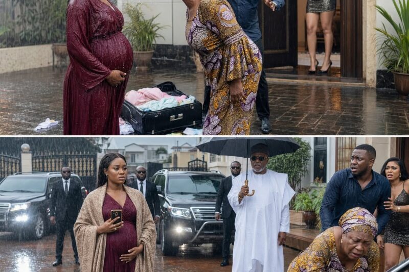 Unaware His Pregnant Wife Was A Trillionaire Boss’s Daughter, He Threw Her Luggage Into The Rain…