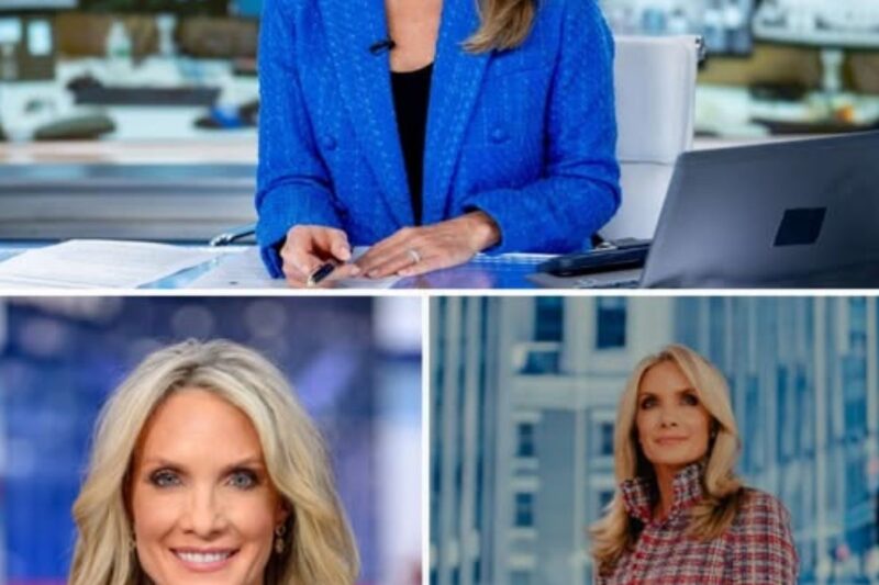 Fox News Viewers Were Stunned When Dana Perino Opened Up About The Coworker Dispute That Nearly Became A Dealbreaker