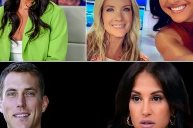 Emily Compagno’s former spouse has alleged infidelity on her part prior to their separation, stating that the third party involved was also a host at Fox.