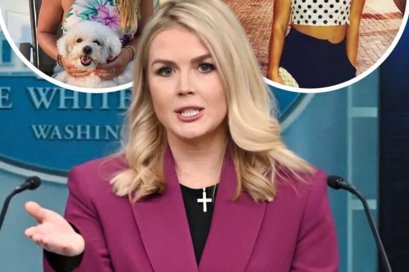 Karoline Leavitt’s Road To The White House: Throwback Photos Show Her Journey From College Student To Youngest Press Secretary In History