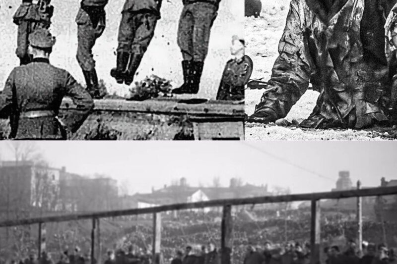 THEY CUT IT OFF AND PUT IT IN THEIR MOUTHS: How the Nazis Carried Out Various Executions After the War