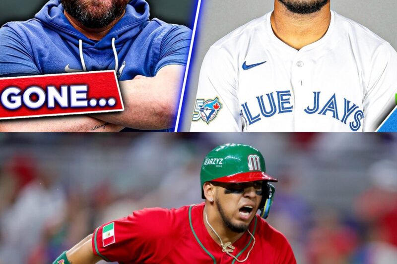 The Awakening of the Toronto Blue Jays: Massive Roster Moves, Devastating Injuries, and a Terrifying Playoff Push