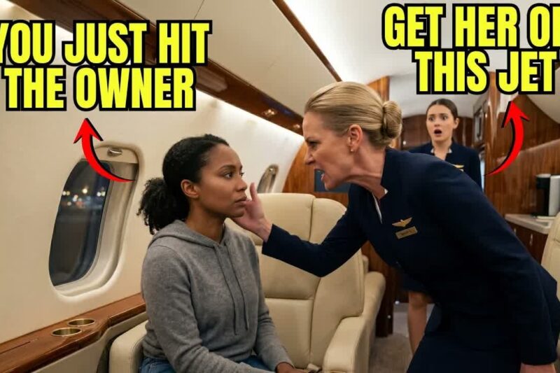 Flight Attendant Slapped Black CEO on Her Jet — Next Morning, Aviation Company Lost Major Contract