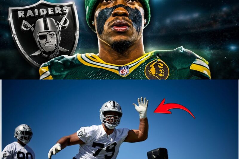 The Silver and Black Mutation: How Las Vegas Rebuilt a Terrifying Roster the NFL Never Saw Coming