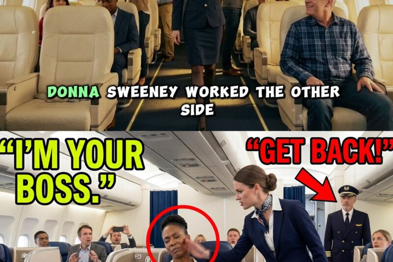 Flight Attendant Slapped Black Woman on Plane — Went Pale When Pilot Said “That’s Our Boss” 