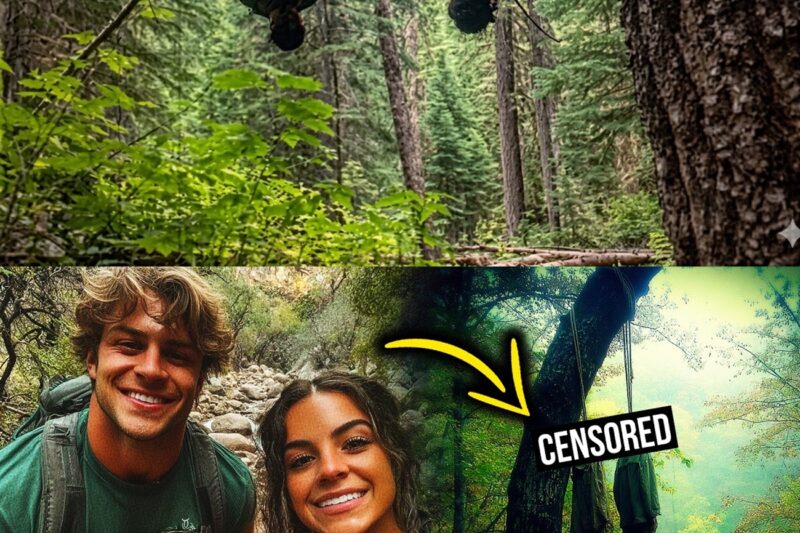 They Disappeared In Colorado… Then Someone Left A Sign 