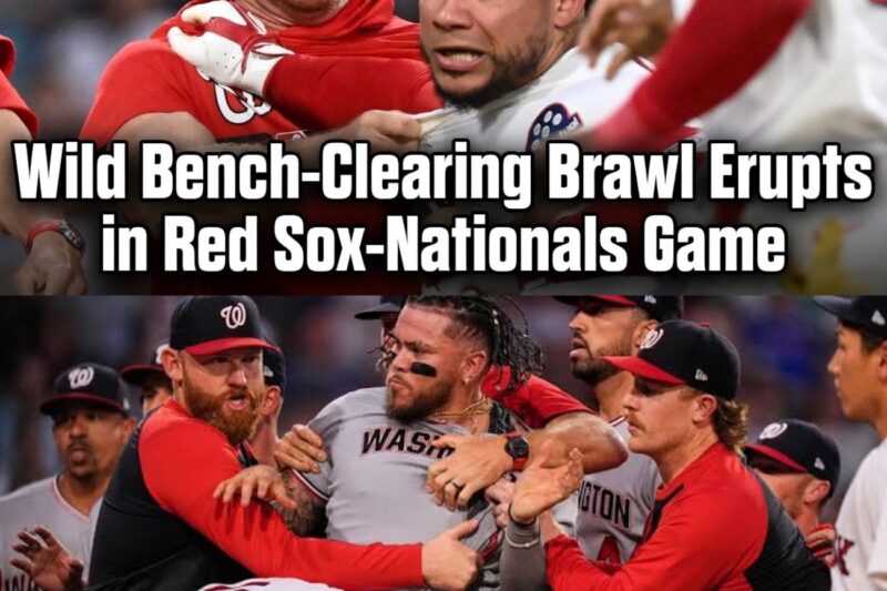 The Breaking Point: How a Ruthless Taunt Ignited a Terrifying Bench-Clearing Brawl Between the Red Sox and Nationals