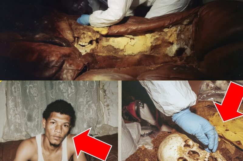 College Couch Smelled Bad 15 Years— Replacement Team Found Student Who Vanished in 2008 Inside